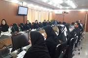 جلسه کمیته بهداشت کشاورزان شهرستان ری