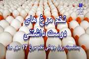 تخم مرغ های دوست داشتنی
