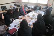تشکیل سومین جلسه کمیته هماهنگی پیشگیری و کنترل اضافه‌وزن و چاقی کودکان ( ایران اکو)در شهرستان اسلامشهر