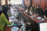 برگزاری جلسه آموزشی با موضوع پیشگیری و رفع مشکلات پستانی در شیردهی ویژه مراقبین سلامت در شهرستان اسلامشهر