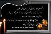پیام تسلیت درگذشت مادر گرامی دکتر سید حسن امامی رضوی 