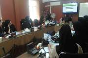 کلاس آموزشی برنامه کودک سالم در شبکه بهداشت شهرستان ری برگزار شد