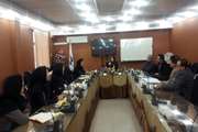 کمیته اجرایی آنفولانزای شبکه بهداشت شهرستان ری تشکیل جلسه داد