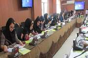 برگزاری جلسه آموزشی بیماری‌های منتقله از ناقلین در شبکه بهداشت شهرستان ری