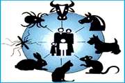 اقدامات شبکه بهداشت شهرری برای کنترل هرچه بهتر بیماری‌های مشترک انسان و حیوان