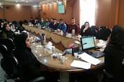 برگزاری جلسه ماهانه واحد بهداشت حرفه‌ای شبکه بهداشت شهرری