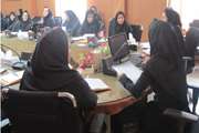 شبکه بهداشت شهرستان ری جلسه آموزشی بهداشت مدارس برای بهورزان برگزار کرد