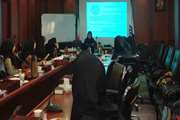 برگزاری جلسه آموزشی بیماری تب مالت ویژه مراقبین سلامت شبکه بهداشت و درمان اسلامشهر 