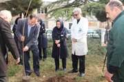 برگزاری مراسم کاشت نهال در بیمارستان شریعتی