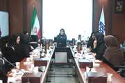 برگزاری کارگاه برنامه باروری سالم در شبکه بهداشت و درمان اسلامشهر 