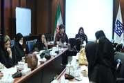 برگزاری کارگاه آموزشی برنامه کنترل اچ ای وی در زنان باردار