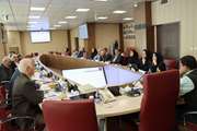 برگزاری نخستین نشست هم‌اندیشی شورای مشورتی شبکه آزمایشگاه جامع تحقیقات دانشگاه علوم پزشکی تهران