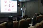  برگزاری جلسه علمی تازه‌های دارودرمانی در نارسایی مزمن کلیوی در داروخانه ۱۳ آبان