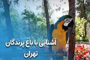 انعقاد تفاهم نامه با باغ پرندگان تهران 