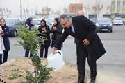 برگزاری مراسم روز درختکاری در بیمارستان کودکان حکیم دانشگاه علوم پزشکی تهران 