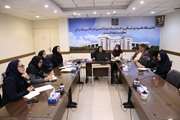 برگزاری کارگروه فنی و اجرایی برنامه مهارت‌های زندگی نوجوانان در معاونت بهداشت