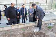 کاشت نهال به یاد شهدای مدافع سلامت در مجتمع خوابگاه های کوی دانشگاه علوم پزشکی تهران