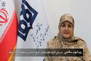 چرا تابستان فصل محبوب میکروب‌هاست