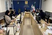 جلسه آموزشی برنامه سلامت مادران برای مراقبین سلامت جدیدالورود درشبکه بهداشت ودرمان شهرستان ری