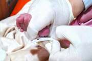 انجام 2874 مورد غربالگری نوزادان در شش‌ماهه نخست سال ۱۴۰۴ در شهرستان اسلامشهر