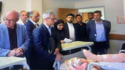 عیادت نمایندگان اقلیت های مذهبی ارامنه و کلیمیان مجلس شورای اسلامی به همراه سخنگوی وزارت امور خارجه از مجروحان حمله رژیم صهیونیستی بستری در بیمارستان سینا 