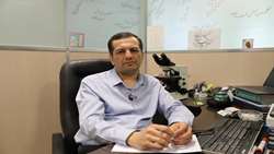 شناسایی هلیکوباکتر پیلوری، کلید پیشگیری از سرطان معده