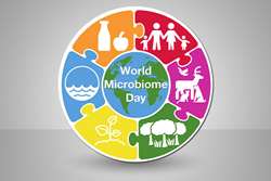 گرامیداشت روز جهانی میکروبیوم در پژوهشگاه علوم غدد و متابولیسم با شعار دستیابی به آینده پایدار با تمرکز بر نقش میکروب ها