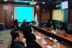 برگزاری جلسه آموزشی بیماری های غیر واگیر در شبکه بهداشت و درمان اسلامشهر