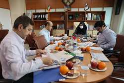 برگزاری جلسه کمیته ترفیعات اعضای هیئت علمی دانشگاه 