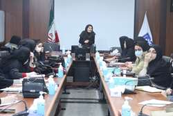 جلسه آموزشی برنامه نوزادان و کودکان ویژه مراقبین سلامت در شهرستان اسلامشهر