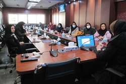 برگزاری کارگاه پیشگیری از خودکشی ویژه پزشکان مراکز خدمات جامع سلامت در شهرستان اسلامشهر