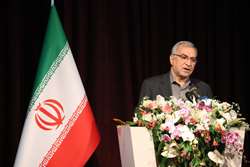 وزیر بهداشت: طب ایرانی از افتخارات ملی و هویت ساز است