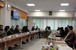 جلسه اتمام فاز یک «پروژه طراحی و بهبود فرایندهای معاونت توسعه مدیریت و برنامه‌ریزی منابع دانشگاه علوم پزشکی تهران» برگزار شد 