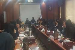 برگزاری جلسه مسئولان فنی واحد سلامت خانواده در شهرستان اسلامشهر