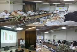 پنجاهمین جلسه کمیته پیوند سلول‌های بنیادی بیماران نقص ایمنی اولیه در مرکز تحقیقات ایمونولوژی، آسم و آلرژی برگزار شد