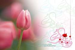 تقدیر از پرستاران نمونه بیمارستان فارابی در مراسم روز پرستار