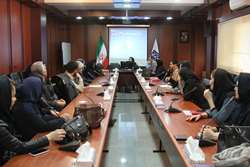 برگزاری جلسه هماهنگی و آموزشی ویژه کارشناسان بهداشت حرفه‌ای صنایع شهرستان اسلامشهر