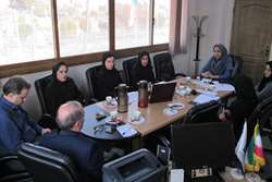 برگزاری جلسه کمیته فصلی شیر مادر در شهرستان اسلامشهر
