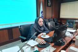 برگزاری کارگاه آموزشی بوکلت جدید برنامه‌های سالمندان ویژه مراقبین سلامت شبکه بهداشت و درمان اسلامشهر