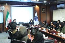 برگزاری کارگاه شنوایی‌سنجی برای مراقبین سلامت شبکه بهداشت و درمان شهرستان اسلامشهر