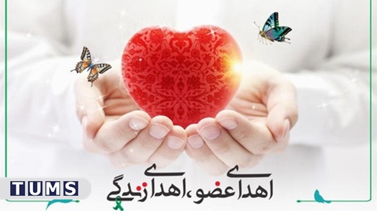 اهدای عضو 