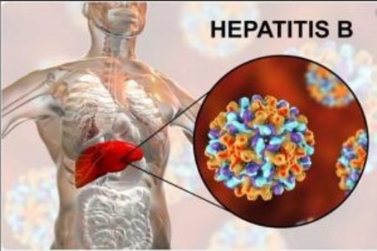 کاهش معنادار شیوع عفونت هپاتیت B در بین افراد با مصرف تزریقی مواد غیرقانونی در ایران  