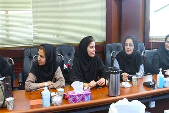 برگزاری کارگاه آموزشی پیشگیری از خودکشی ویژه بهورزان در شهرستان اسلامشهر 