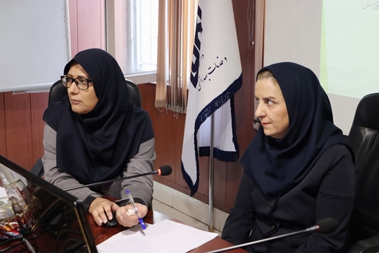 نشست اعضای کمیته هفته ملی سلامت بانوان ایرانی 1402 در مرکز بهداشت جنوب تهران 