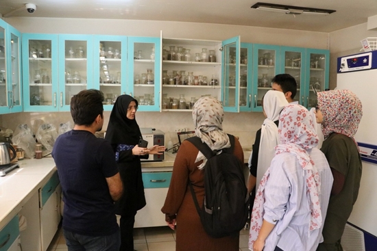 مدرسه تابستانه بین المللی طب ایرانی در دانشکده طب ایرانی 