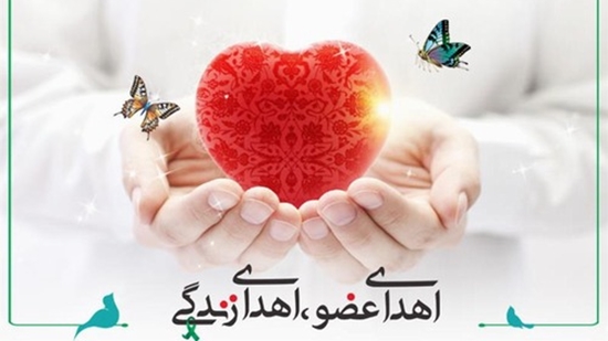 اهدای عضو 