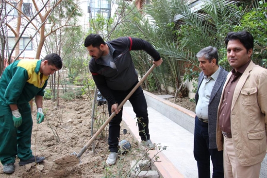 کاشت نهال در مرکز طبی کودکان به مناسبت روز درختکاری 