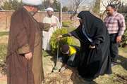 برگزاری آیین روز درختکاری در دانشکده دندانپزشکی دانشگاه علوم پزشکی تهران