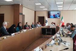 از پزشک خانواده تا رتبه‌بندی جهانی؛ دانشگاه علوم پزشکی تهران مسیر ۴ ساله تحول را ترسیم کرد