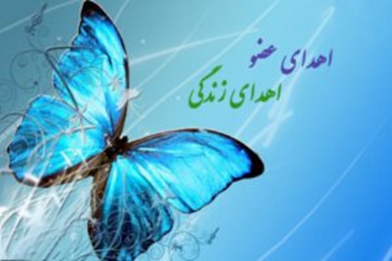 اهدای عضو 